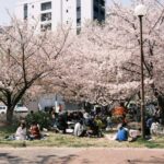 花見幹事が知っておくべき「ピザ注文の黄金ルール」